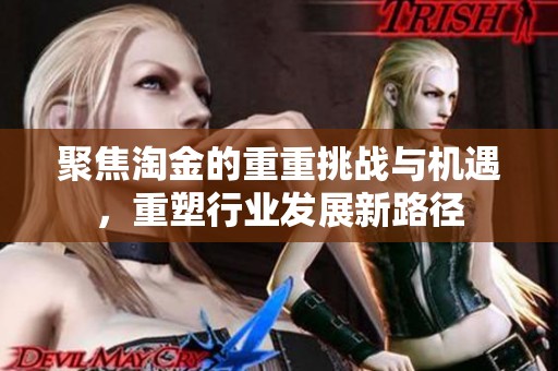 聚焦淘金的重重挑战与机遇，重塑行业发展新路径