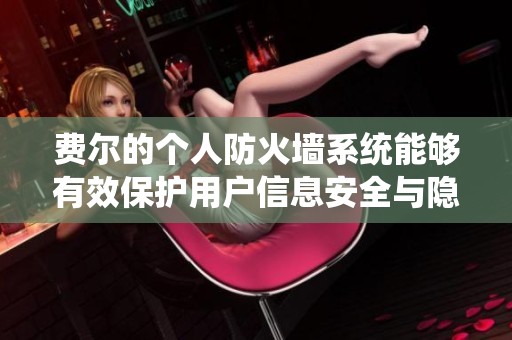 费尔的个人防火墙系统能够有效保护用户信息安全与隐私
