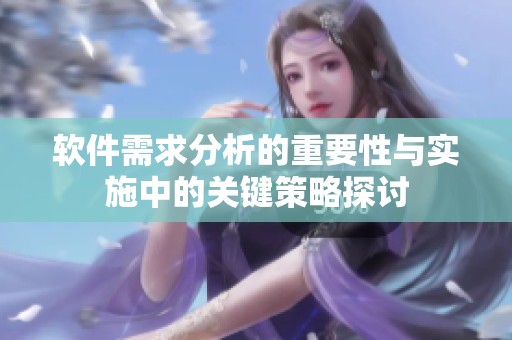软件需求分析的重要性与实施中的关键策略探讨