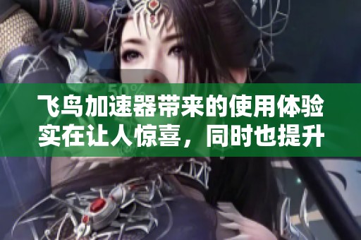 飞鸟加速器带来的使用体验实在让人惊喜，同时也提升了网络的整体速度。