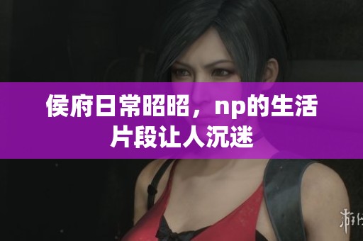侯府日常昭昭，np的生活片段让人沉迷