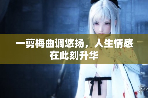 一剪梅曲调悠扬，人生情感在此刻升华