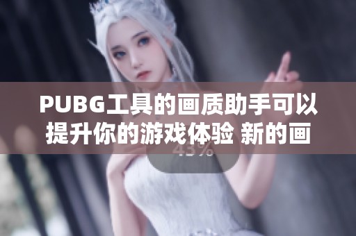 PUBG工具的画质助手可以提升你的游戏体验 新的画质助手带来更优质的游戏画面