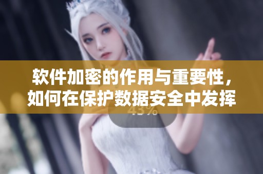 软件加密的作用与重要性，如何在保护数据安全中发挥关键作用