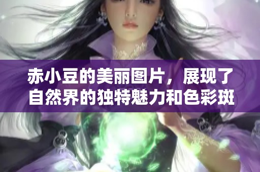 赤小豆的美丽图片，展现了自然界的独特魅力和色彩斑斓的风采