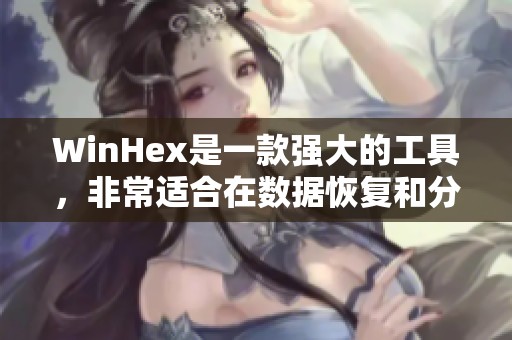 WinHex是一款强大的工具，非常适合在数据恢复和分析方面使用。