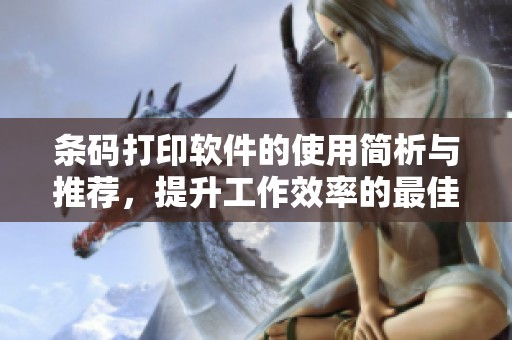 条码打印软件的使用简析与推荐，提升工作效率的最佳选择