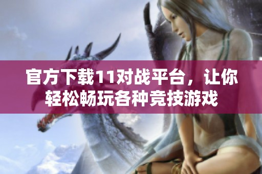 官方下载11对战平台，让你轻松畅玩各种竞技游戏