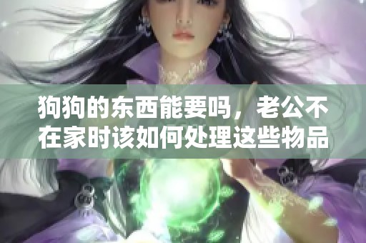 狗狗的东西能要吗，老公不在家时该如何处理这些物品
