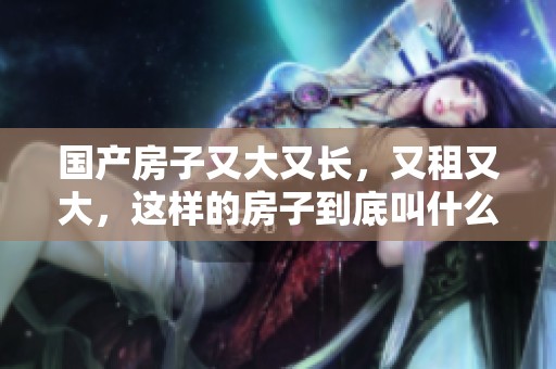 国产房子又大又长，又租又大，这样的房子到底叫什么呢