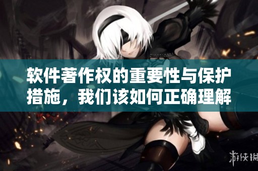 软件著作权的重要性与保护措施，我们该如何正确理解和运用它