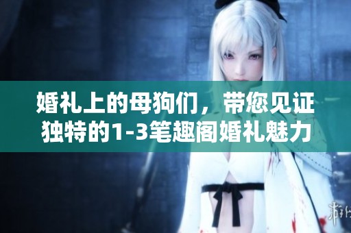 婚礼上的母狗们，带您见证独特的1-3笔趣阁婚礼魅力