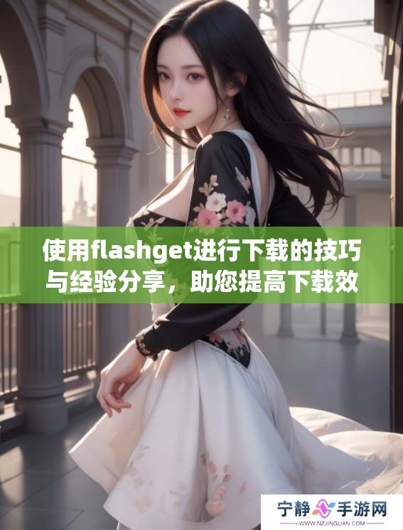 使用flashget进行下载的技巧与经验分享，助您提高下载效率与速度