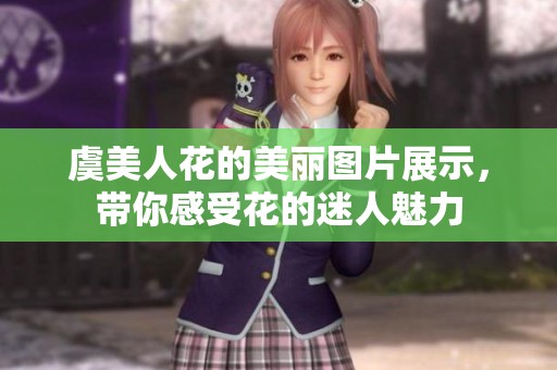 虞美人花的美丽图片展示，带你感受花的迷人魅力