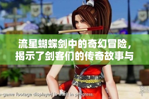 流星蝴蝶剑中的奇幻冒险，揭示了剑客们的传奇故事与情感纠葛