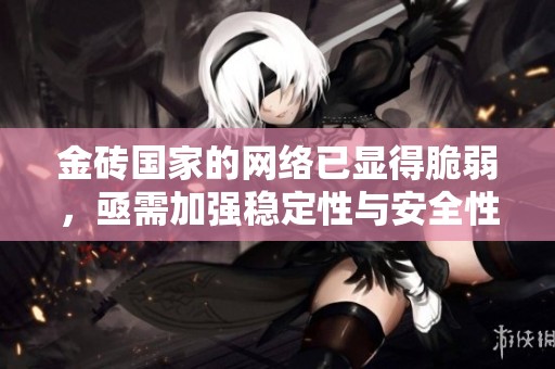 金砖国家的网络已显得脆弱，亟需加强稳定性与安全性。