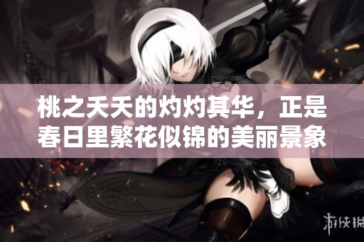 桃之夭夭的灼灼其华，正是春日里繁花似锦的美丽景象