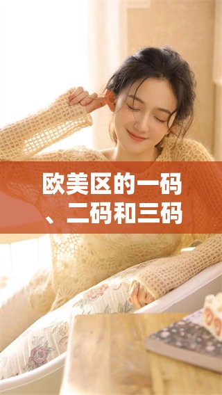 欧美区的一码、二码和三码之间的区别具体是什么呢