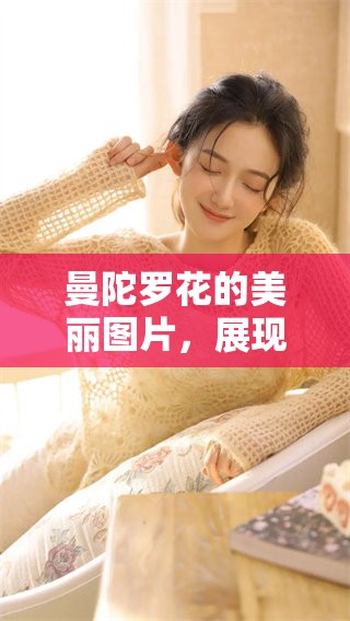 曼陀罗花的美丽图片，展现了自然的奇妙与魅力