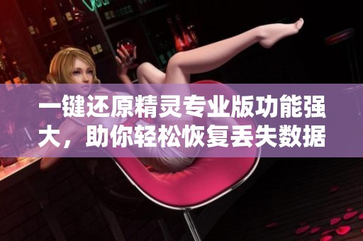 一键还原精灵专业版功能强大，助你轻松恢复丢失数据