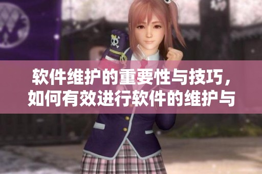软件维护的重要性与技巧，如何有效进行软件的维护与管理