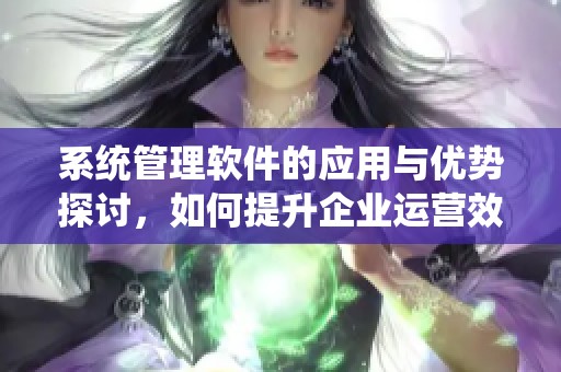 系统管理软件的应用与优势探讨，如何提升企业运营效率