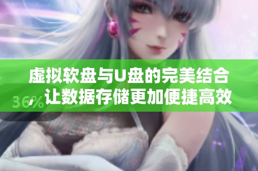 虚拟软盘与U盘的完美结合，让数据存储更加便捷高效