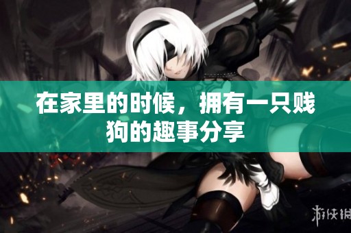 在家里的时候，拥有一只贱狗的趣事分享