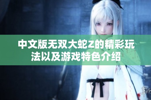 中文版无双大蛇Z的精彩玩法以及游戏特色介绍