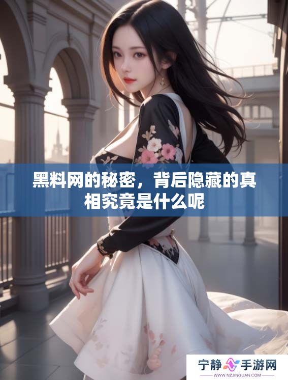 黑料网的秘密，背后隐藏的真相究竟是什么呢