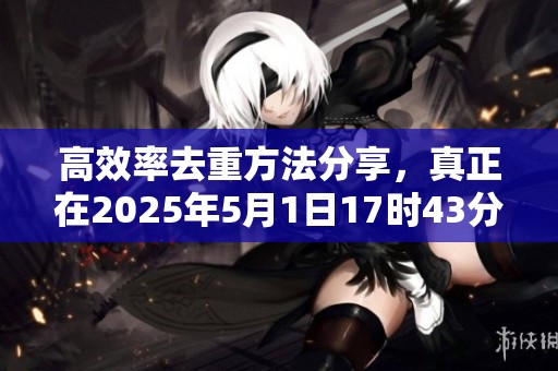 高效率去重方法分享，真正在2025年5月1日17时43分34秒的应用解析
