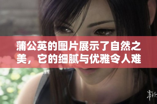 蒲公英的图片展示了自然之美，它的细腻与优雅令人难以忘怀