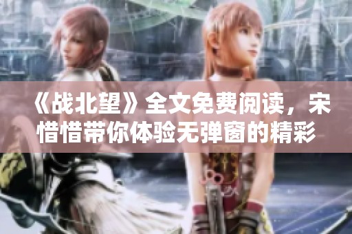《战北望》全文免费阅读，宋惜惜带你体验无弹窗的精彩故事