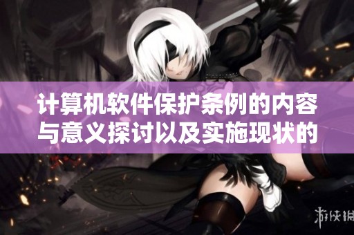 计算机软件保护条例的内容与意义探讨以及实施现状的分析