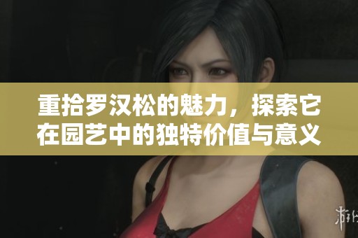 重拾罗汉松的魅力，探索它在园艺中的独特价值与意义