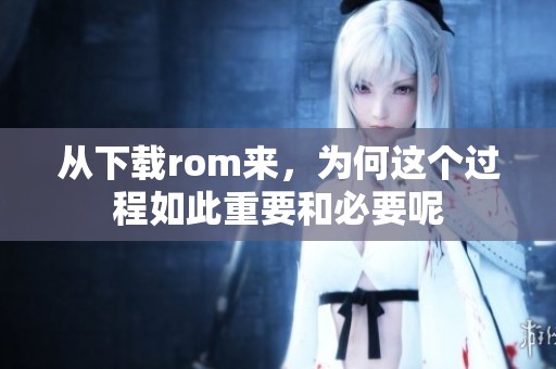 从下载rom来，为何这个过程如此重要和必要呢