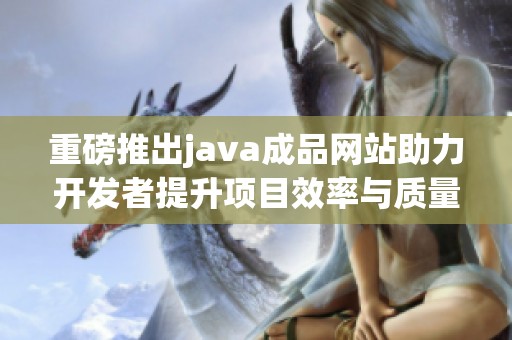 重磅推出j**a成品网站助力开发者提升项目效率与质量