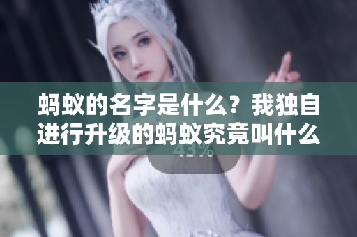 蚂蚁的名字是什么？我独自进行升级的蚂蚁究竟叫什么呢