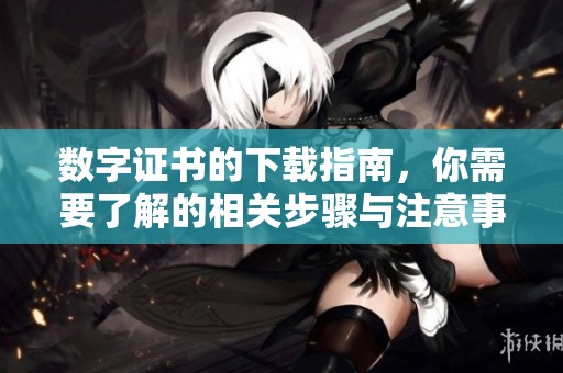数字证书的下载指南，你需要了解的相关步骤与注意事项