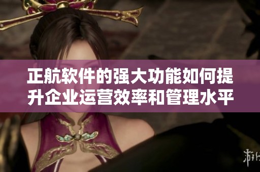 正航软件的强大功能如何提升企业运营效率和管理水平