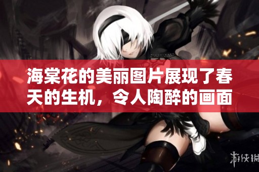 海棠花的美丽图片展现了春天的生机，令人陶醉的画面引人驻足欣赏