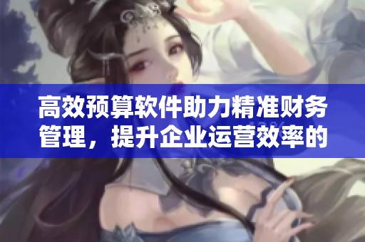 高效预算软件助力精准财务管理，提升企业运营效率的最佳选择