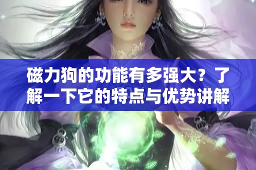 磁力狗的功能有多强大？了解一下它的特点与优势讲解