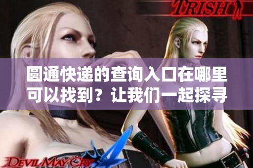 圆通快递的查询入口在哪里可以找到？让我们一起探寻一下吧！