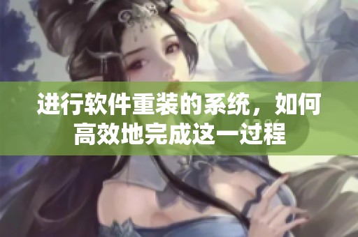进行软件重装的系统，如何高效地完成这一过程
