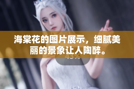 海棠花的图片展示，细腻美丽的景象让人陶醉。