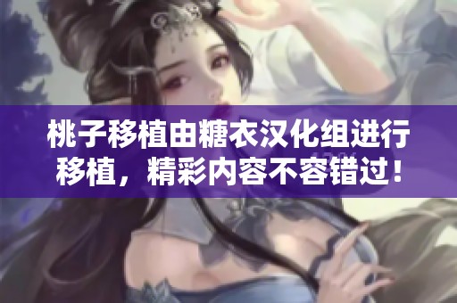 桃子移植由糖衣汉化组进行移植，精彩内容不容错过！
