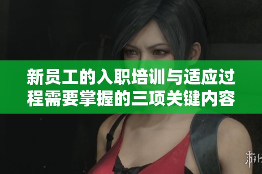 新员工的入职培训与适应过程需要掌握的三项关键内容
