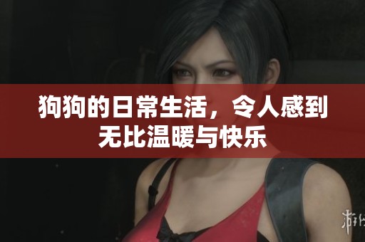 狗狗的日常生活，令人感到无比温暖与快乐