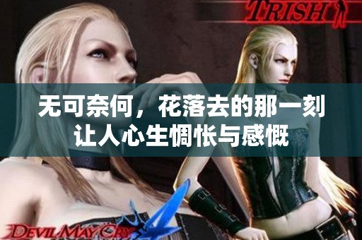无可奈何，花落去的那一刻让人心生惆怅与感慨